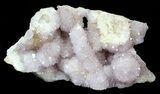 Cactus Quartz (Amethyst) Cluster - Large Crystals #62963-1